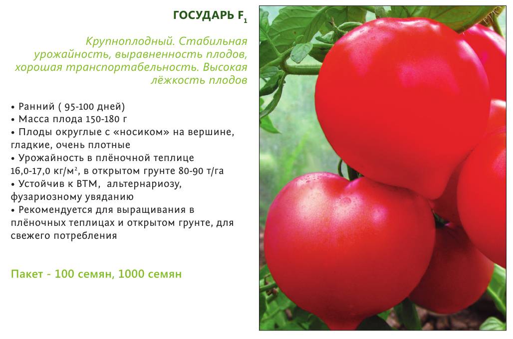 Гибрид с отличной продуктивностью — томат розовая империя f1: описание сорта и характеристики