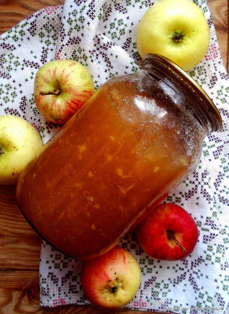 Домашнее повидло из яблок на зиму – нужная заготовка! рецепты разного повидла из яблок в домашних условиях