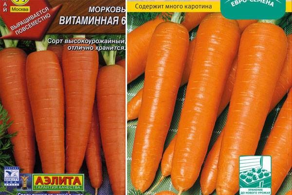 Какие семена моркови выбрать для открытого грунта: лучшие сорта с описанием + отзывы