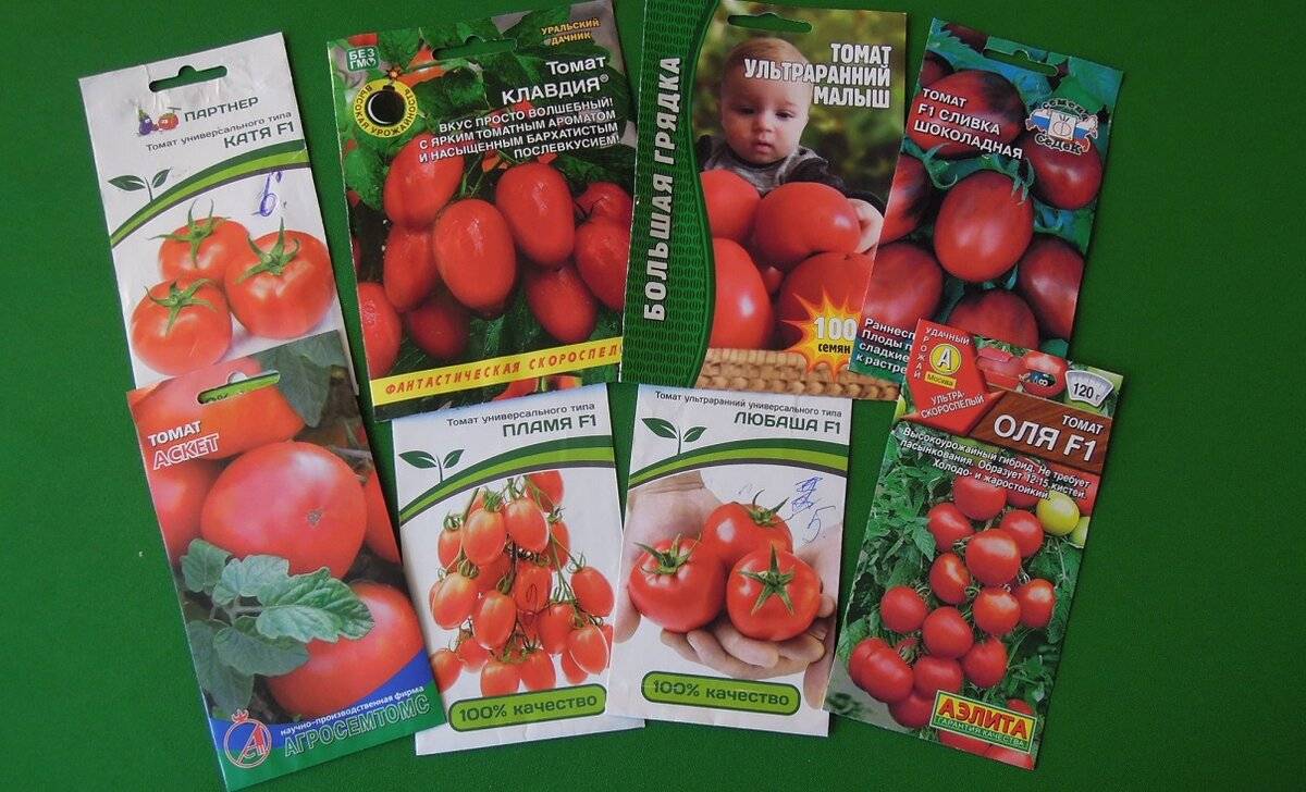 Лучшие сорта томатов для подмосковья - фото, названия и описания (каталог)