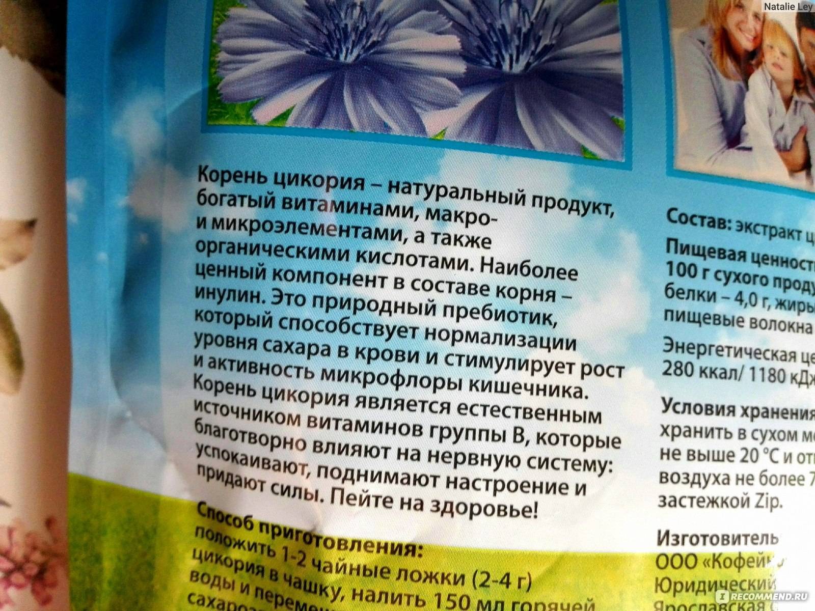 Растение цикорий обыкновенный: краткое описание и лечебные свойства