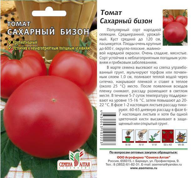 Новый гибрид первого поколения — описание сорта томата «верлиока плюс» f1