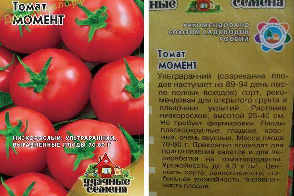Описание раннеспелых томатов Момент и выращивание рассады самостоятельно