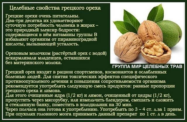 Грецкий орех: свойства, польза и вред