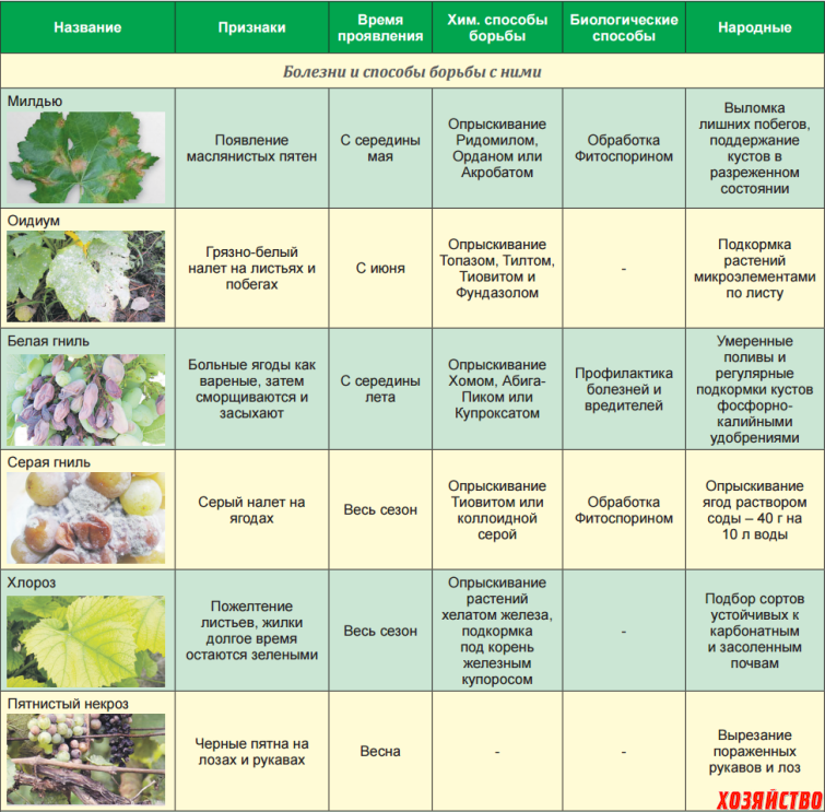 Обработка фунгицидом: список органических и биологических фунгицидов