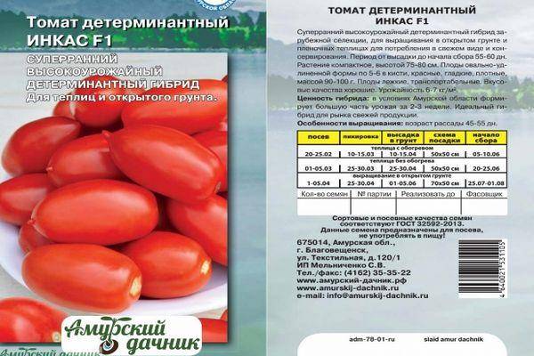Отличный выбор для дачников без теплиц — томат цыган: описание сорта и особенности выращивания