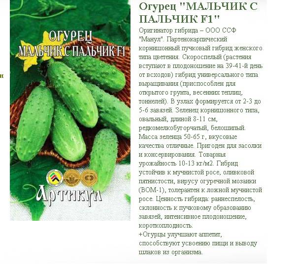Сорт огурцов сибирская гирлянда – выращивание и особенности гибрида