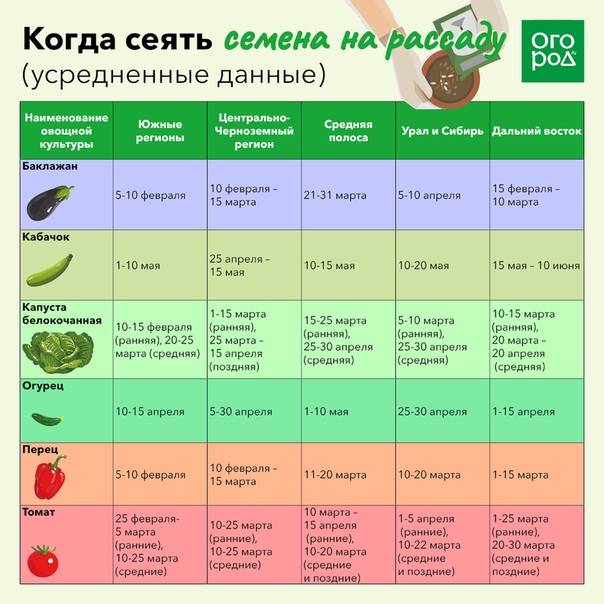Посадка помидоров на рассаду в сибири в 2021 году: благоприятные дни по лунному календарю