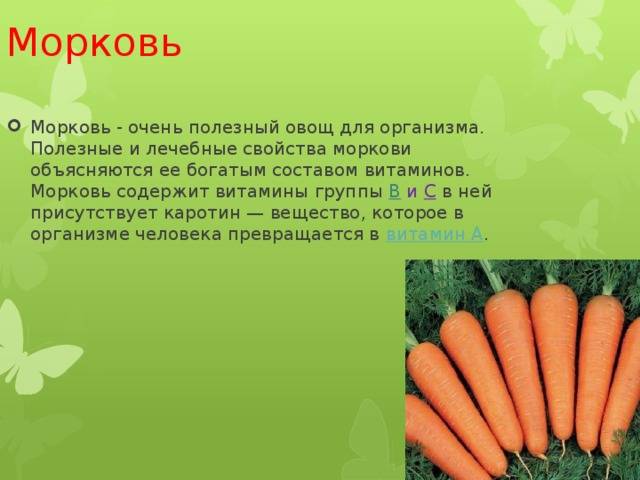 Фиолетовая морковь — характеристика сорта, фото этого овоща