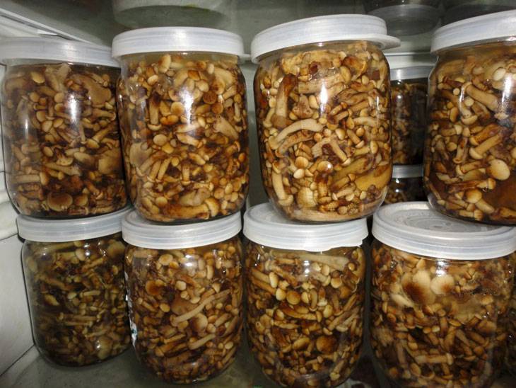 ✅ маринованные грибы срок хранения после консервации - питомник46.рф