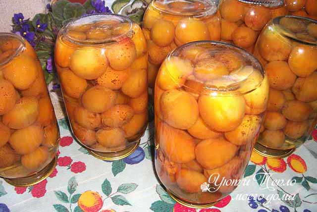 Вкусные заготовки из абрикосов — самый смак