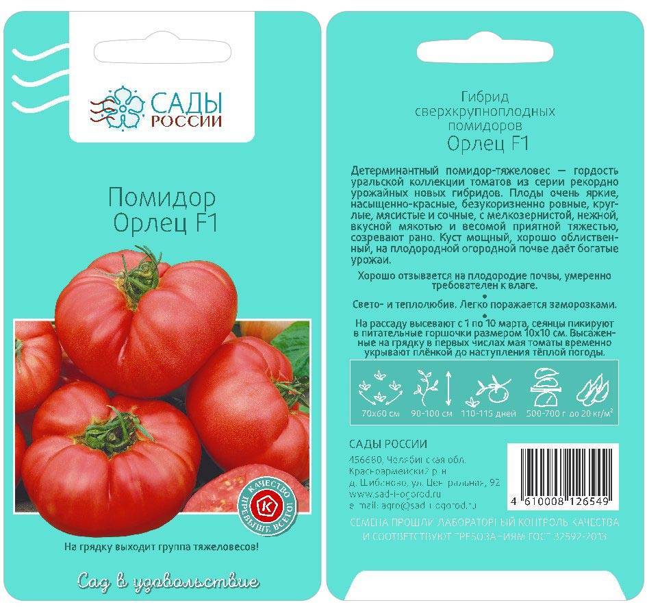 ᐉ томат "любимый праздник": описание и характеристики сорта, фотографии помидор и рекомендации по уходу - orensad198.ru