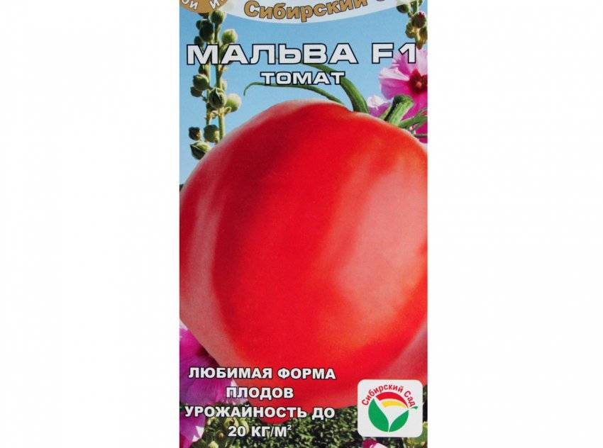 Описание сорта томата санта клаус, выращивание и уход за ним – дачные дела