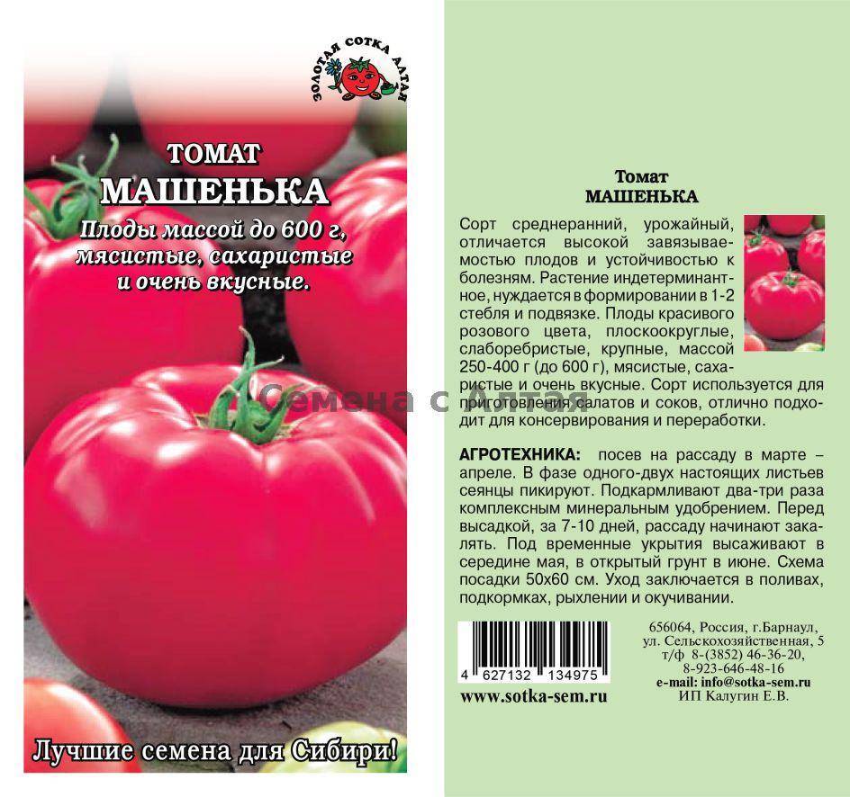 Характеристика томата Машенька и правила выращивания хорошего урожая