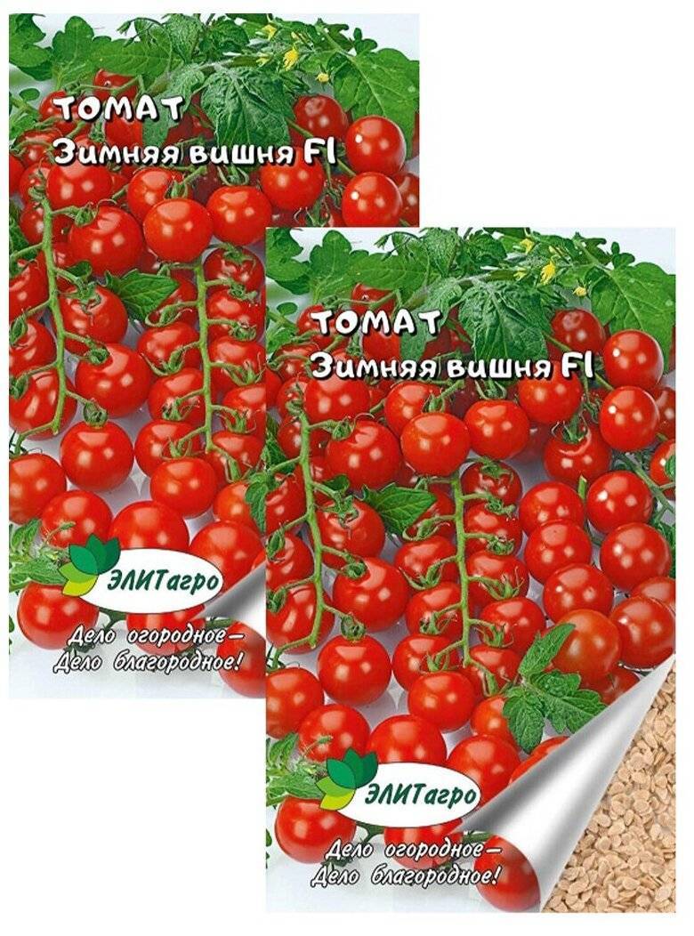 Томат вишенка черная: описание сорта, характеристика, отзывы об урожайности, фото - все о помидорках