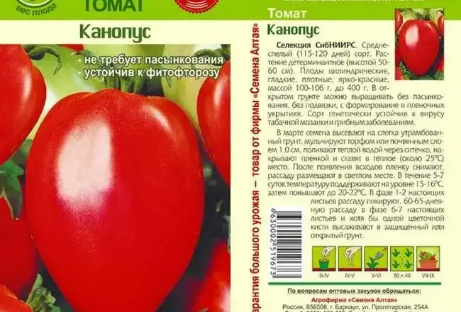 Томат флорида петит: описание сорта помидоров