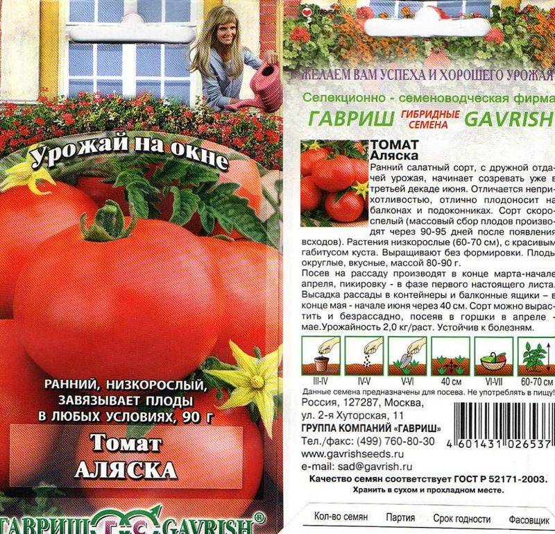 Сорта чёрных томатов - дачно-огородные радости - 26 июля - 43073040509 - медиаплатформа миртесен