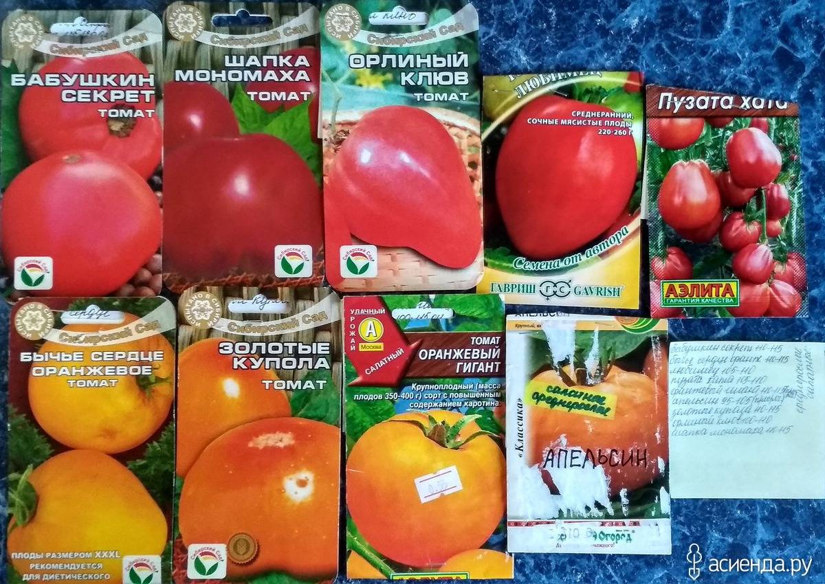 Высокий урожая и крупные плоды с деликатным вкусом: томат «орлиное сердце» — как вырастить самостоятельно без хлопот