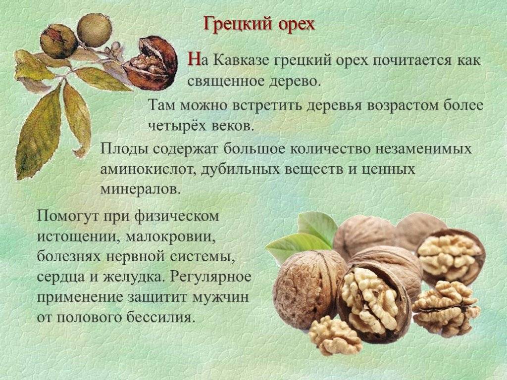 Блог от иоанныгрецкий орех – польза и вред для организма, как правильно есть
грецкий орех – польза и вред для организма, как правильно есть