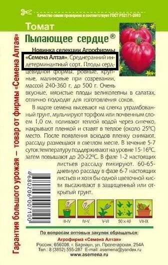 ᐉ томат "роза ветров": характеристика, описание сорта, советы по выращиванию отличного урожая помидор, фото-материалы - orensad198.ru