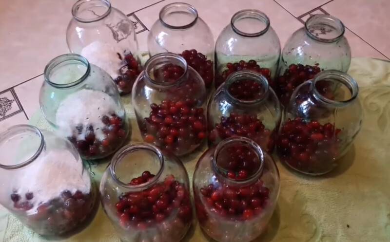 Вишневый компот на зиму: экспериментируем со вкусом и ингредиентами