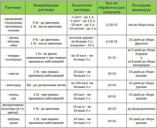 Период ожидания после обработки бордосской жидкостью / асиенда.ру