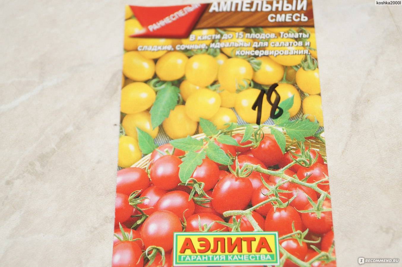 Ампельные помидоры: 7 лучших сортов, выращивание, болезни