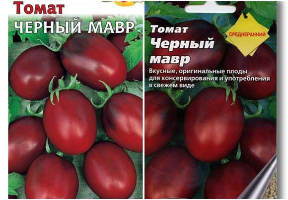 Томат черный мавр: описание, характеристика, урожайность сорта, особенности выращивания помидоров, отзывы, фото