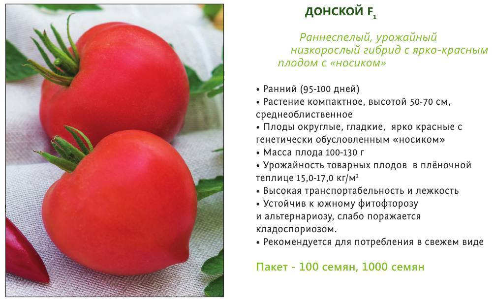 Томат мглистая роза дана: фото помидоров, отзывы об урожайности куста, описание и характеристика сорта