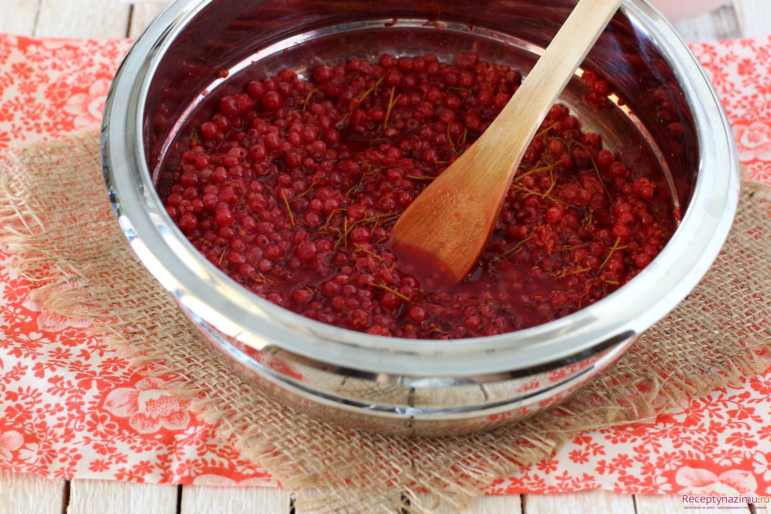 Соусы из красной смородины на зиму: рецепты, фото