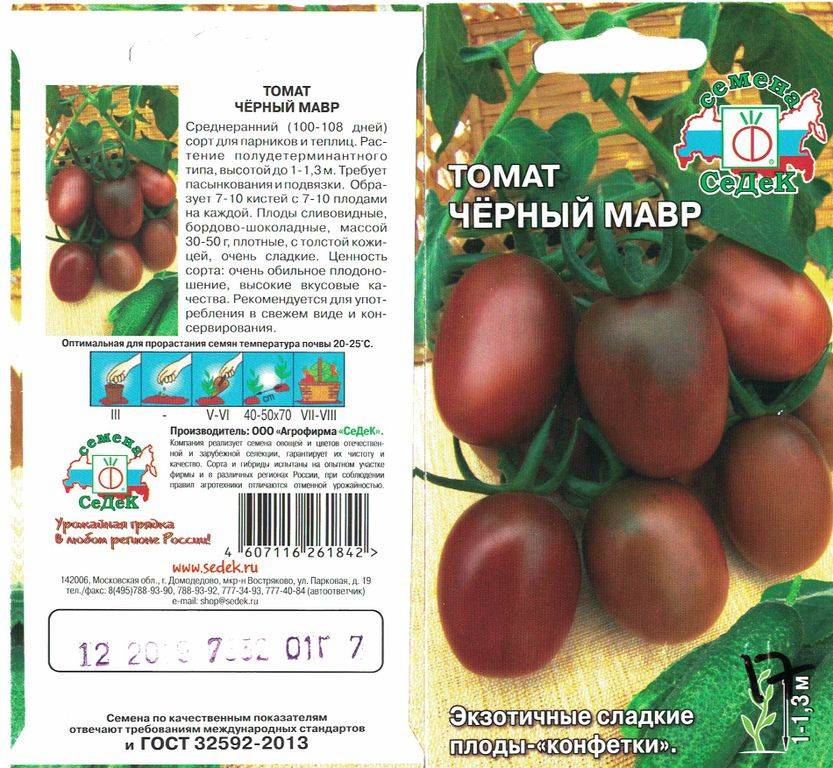 Описание сорта томата Черный мавр, особенности выращивания и ухода
