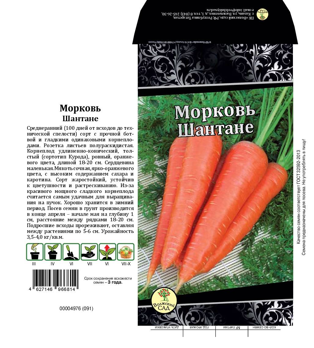 Самые лучшие семена моркови для открытого грунта