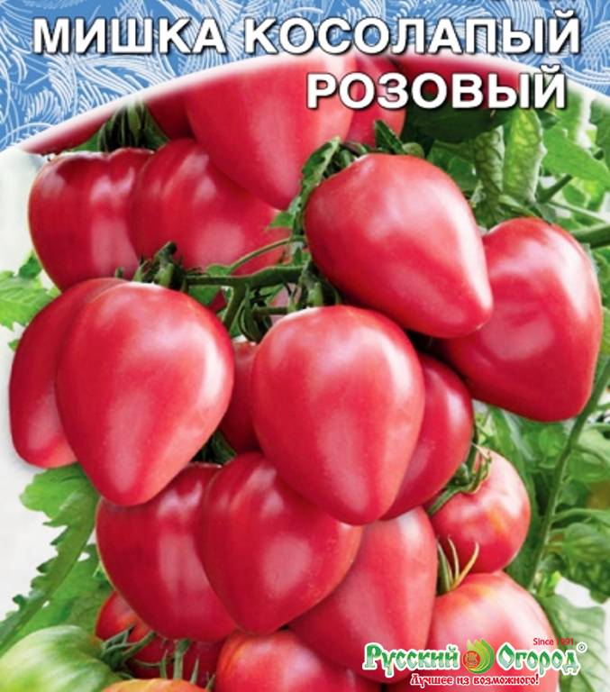 ᐉ томат мишка косолапый : описание сорта, достоинства и недостатки, особенности выращивания - orensad198.ru