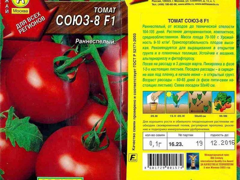 Ранние сорта томатов – для открытого грунта, высокоурожайные, лучшие для средней полосы, топ-15