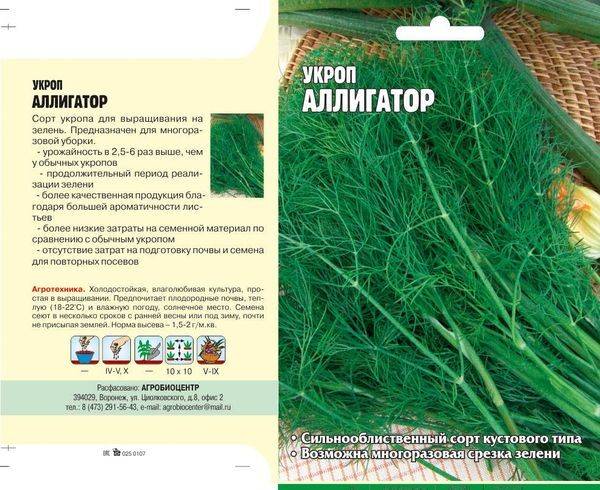 Укроп аллигатор: характеристика и описание сорта, выращивание, отзывы с фото