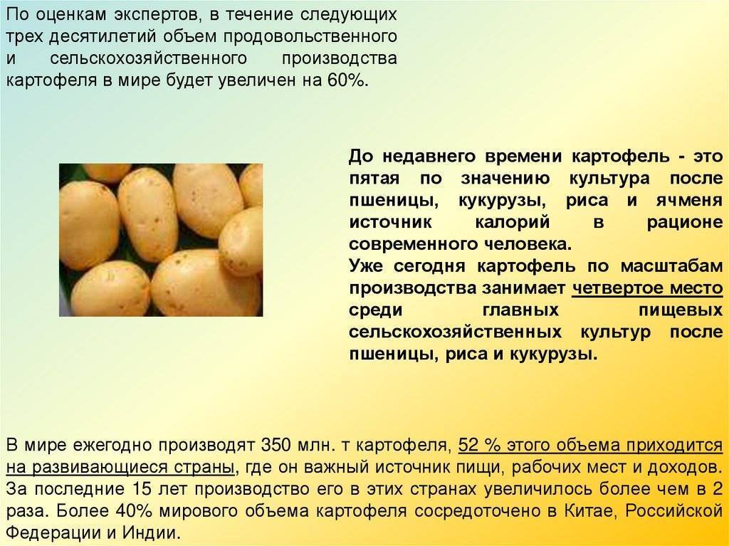 Картофель сорта уладар: описание и особенности выращивания: характеристики, свойства, методы