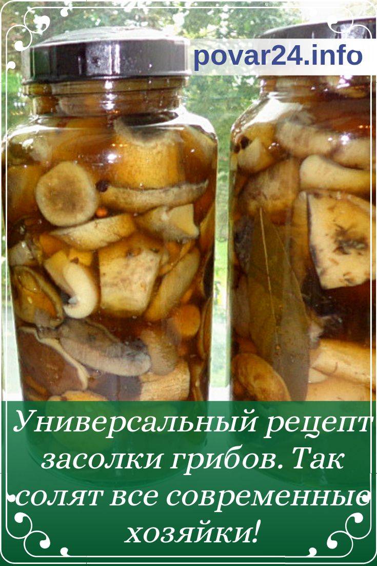 Маринованные белые грибы на зиму в банках. простые рецепты приготовления
