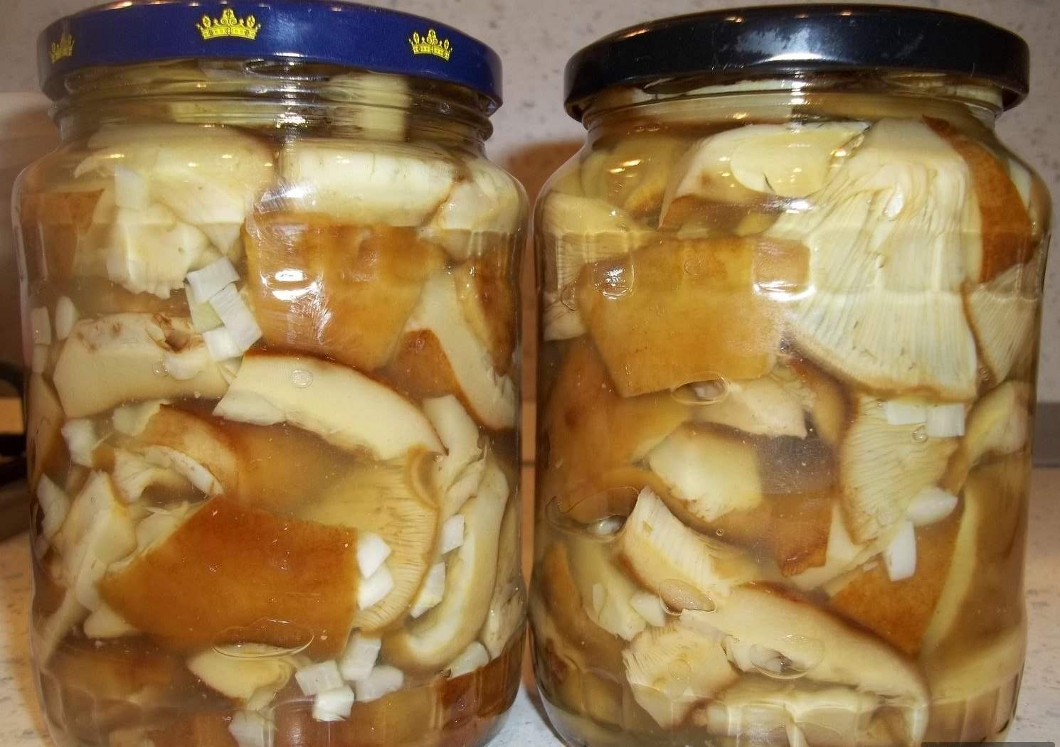 Заготовка из лисичек на зиму. простые русские рецепты: консервация, сушка и заморозка