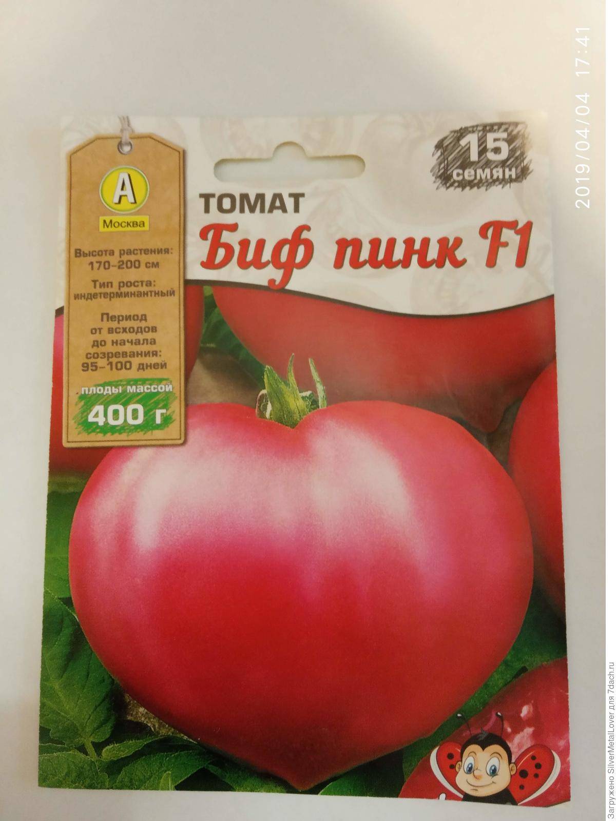 Мясистый гигант с восхитительным вкусом — за что садоводы любят помидоры сорта «биг биф»