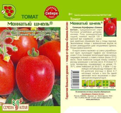 Томат мохнатый шмель: характеристика и описание сорта с фото, урожайность помидора, отзывы