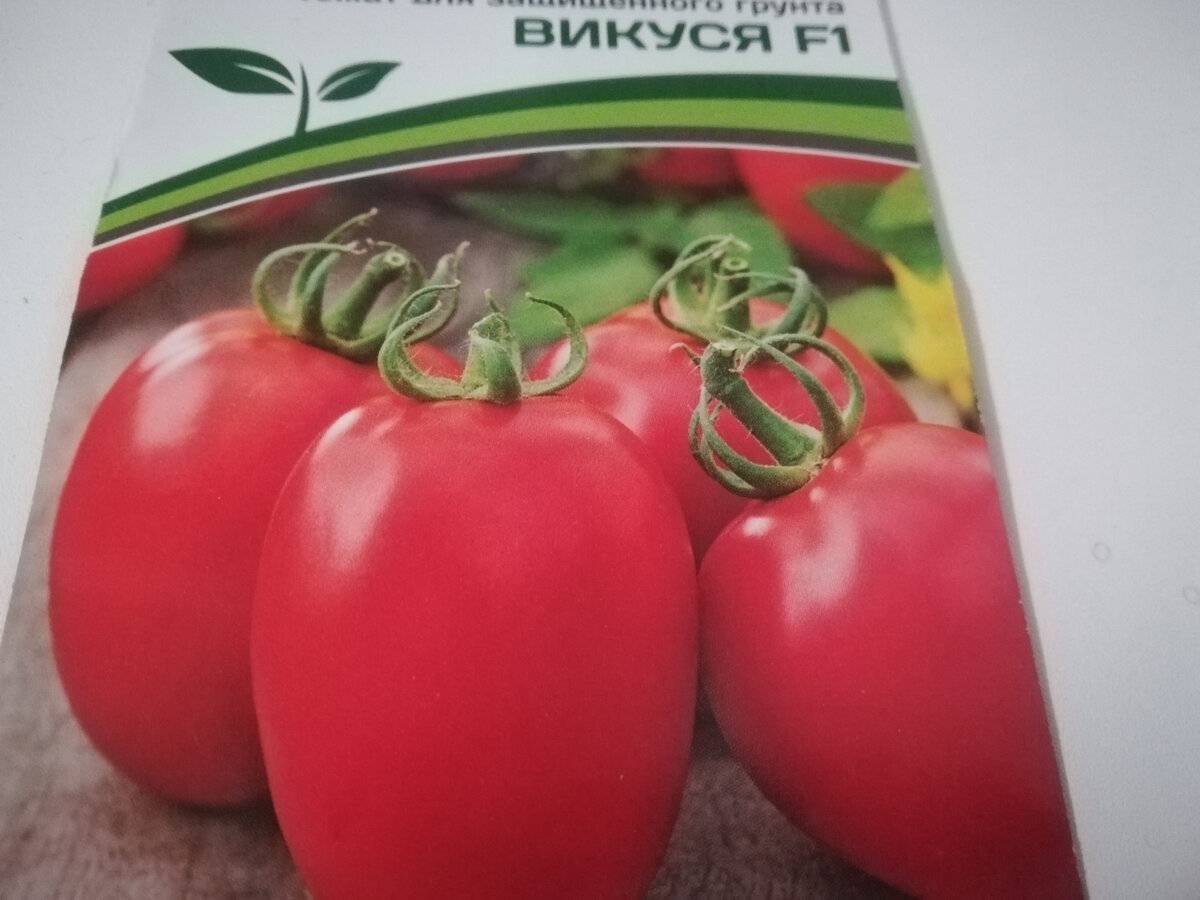 Новые сорта томатов сибирской селекции на 2022 год