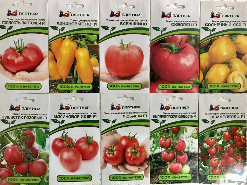 Что особенного в перцевидном томате: описани и фото