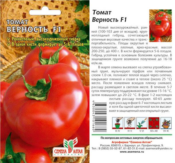 Сорт помидоров дачник: описание раннего сорта томатов, посадка и уход, правила выращивания, вкусовые качества, отзывы дачников и фото