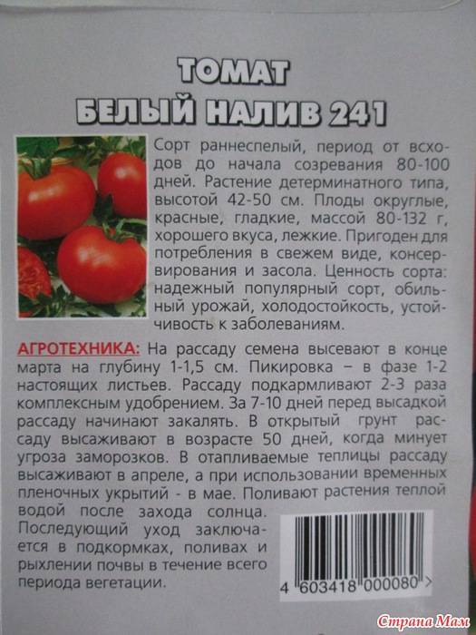 Томат "белый налив 241": описание и характеристика сорта, фото и особенности выращивания помидор