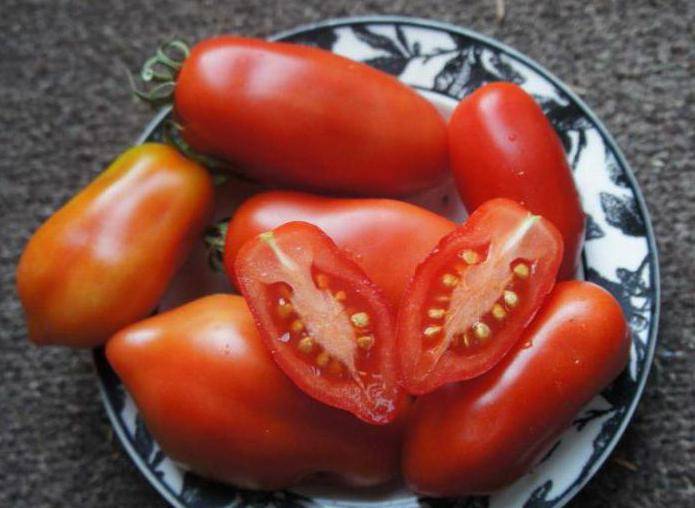 Вкусные помидоры которые полюбятся любому дачнику — томат пальчики оближешь: описание сорта