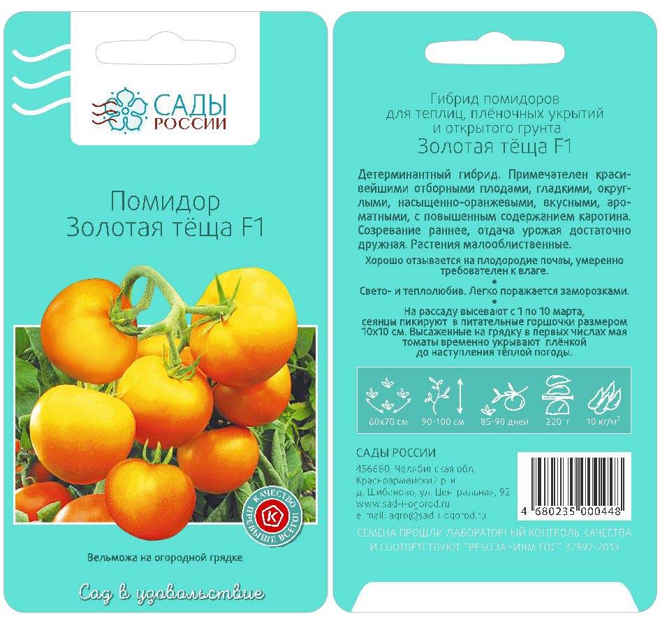 Описание томата с оранжевыми плодами Золотая теща и правила выращивания гибридного сорта