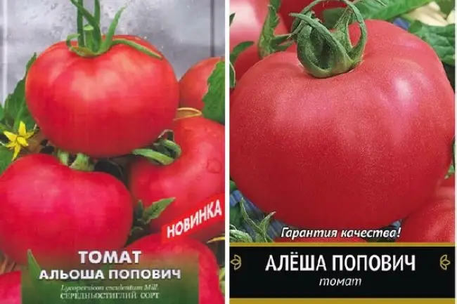 Томат алеша попович: отзывы тех кто сажал помидоры, характеристика и описание сорта, фото урожайности и видео | сортовед