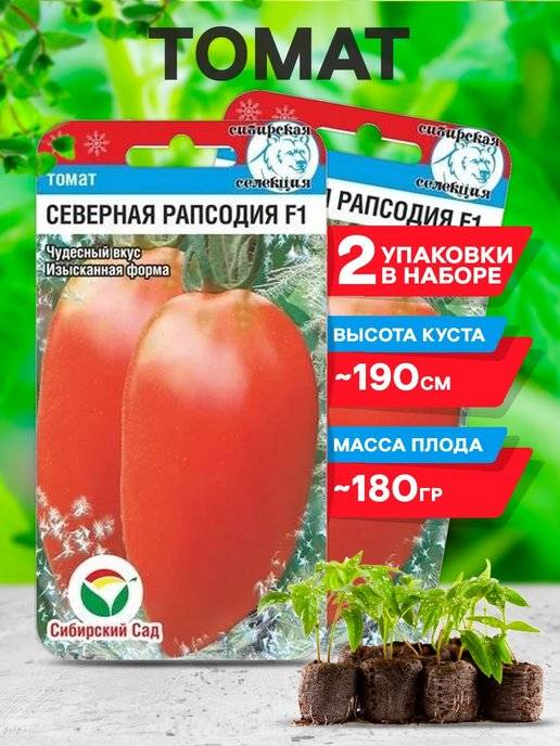 Гибридный томат «рапсодия» — выращиваем на своём участке самостоятельно без хлопот