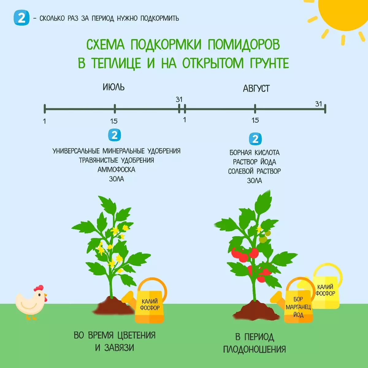 Выращивание сои: урожайность и как вырастить на бизнес - технология возделывания, как сидерат в россии, особенности на огороде