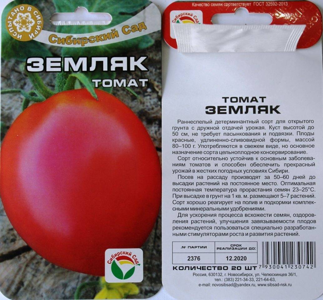 Простой в уходе, неприхотливый, но очень урожайный и вкусный «старосельский» томат: выращиваем самостоятельно